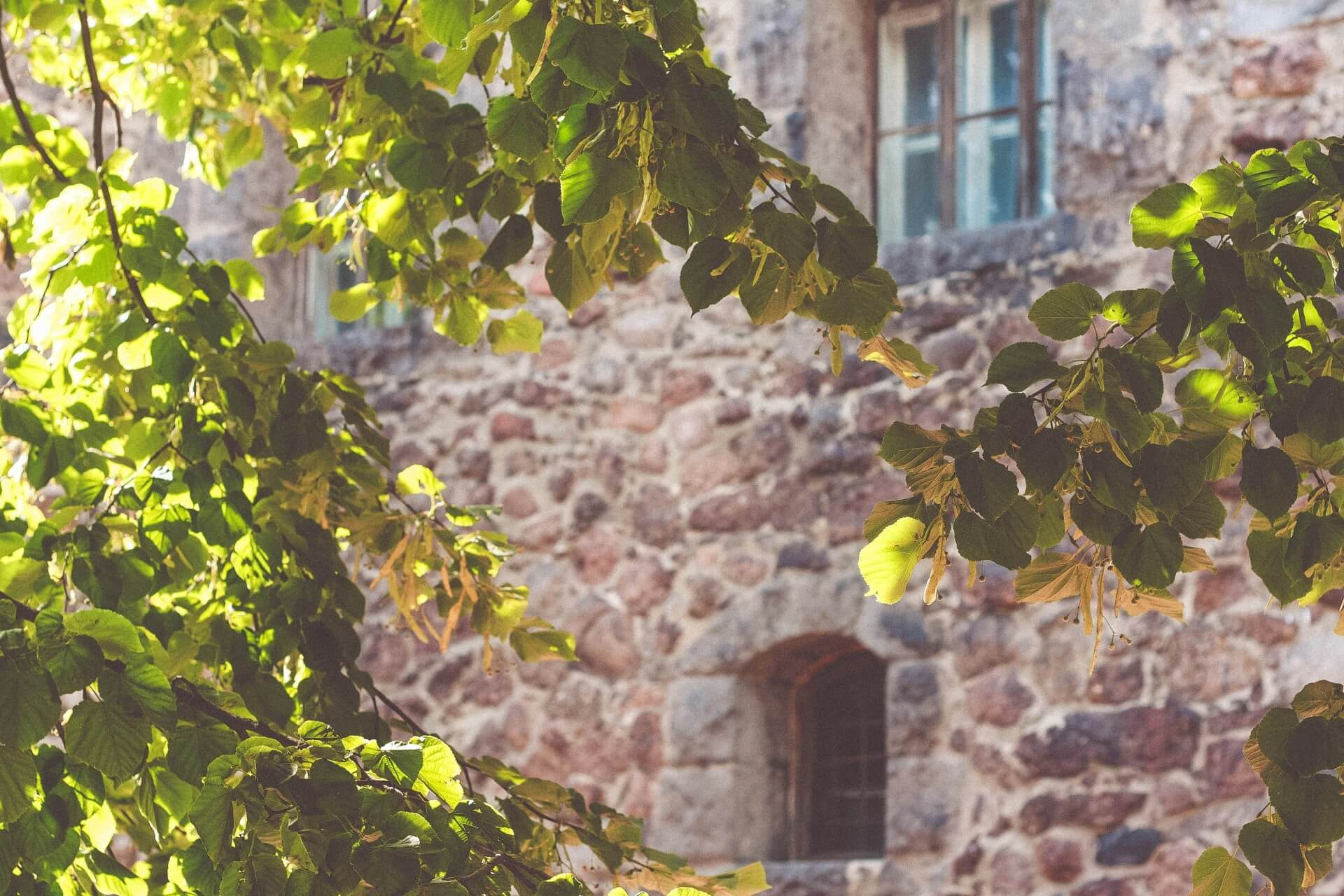 Old stone building in summer sun with dappled light from green trees
