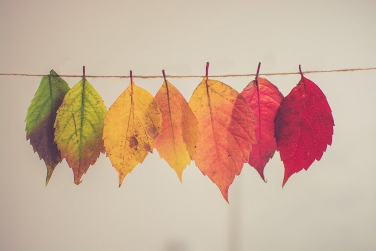 Green, yellow and red autumn leaves on string