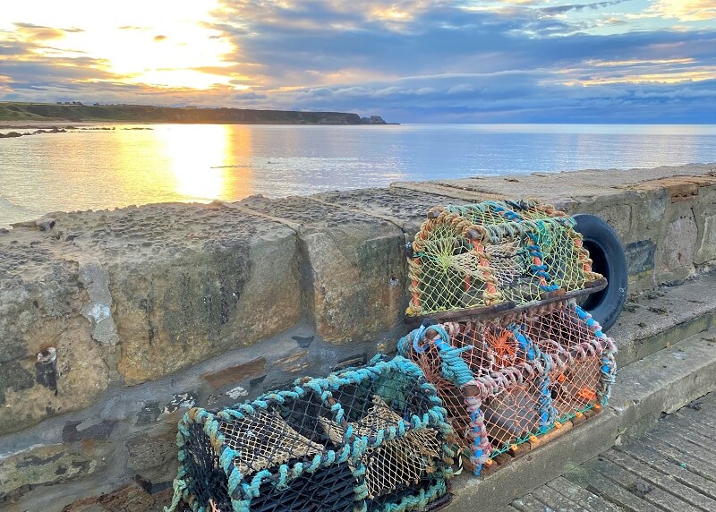 Lobster pots at Cullen harbour