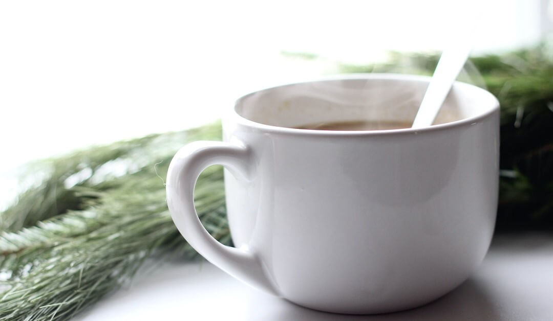 Coffee cup steaming beside pine tree branch