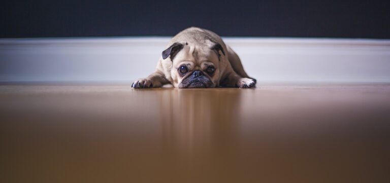 How to stop Sunday night blues