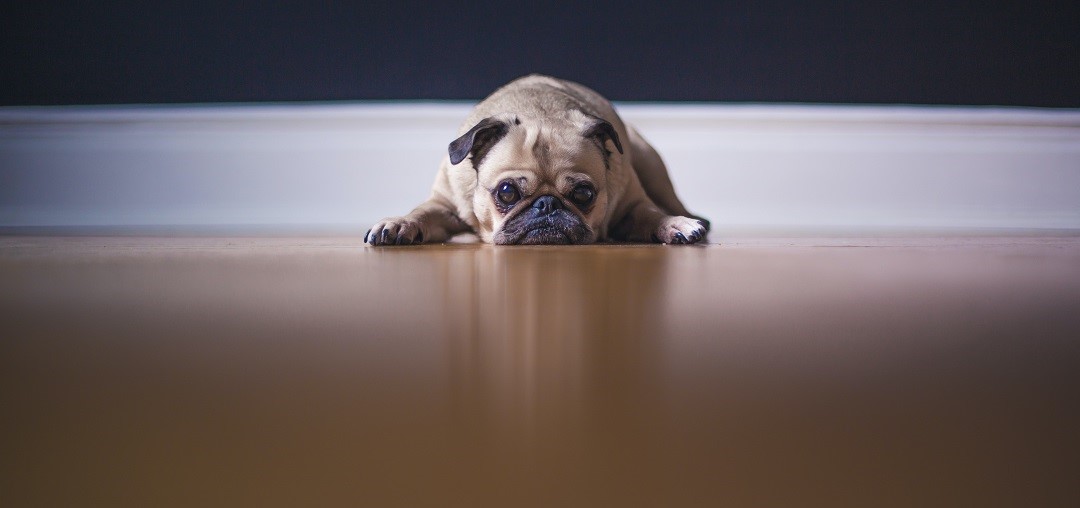 How to stop Sunday night blues
