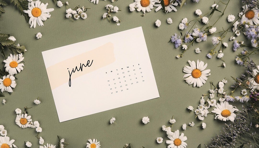 Things to do at the weekend in June