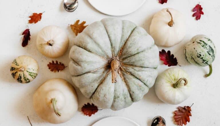 Things to do at the weekends in November