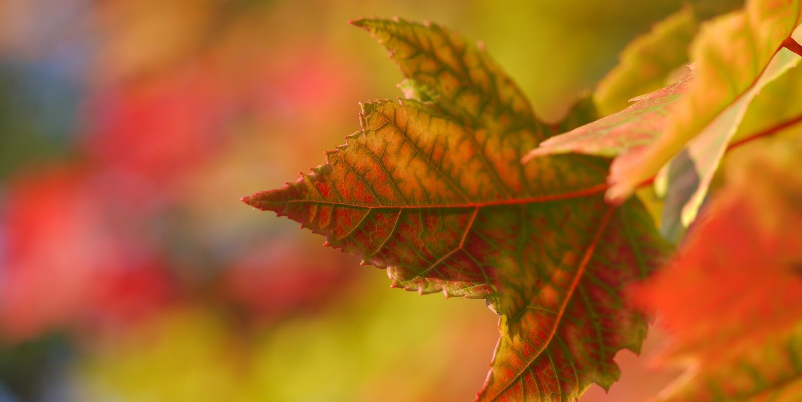 Things to do at the weekends in September